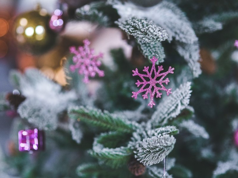 Jaaroverzicht van KMO Solutions